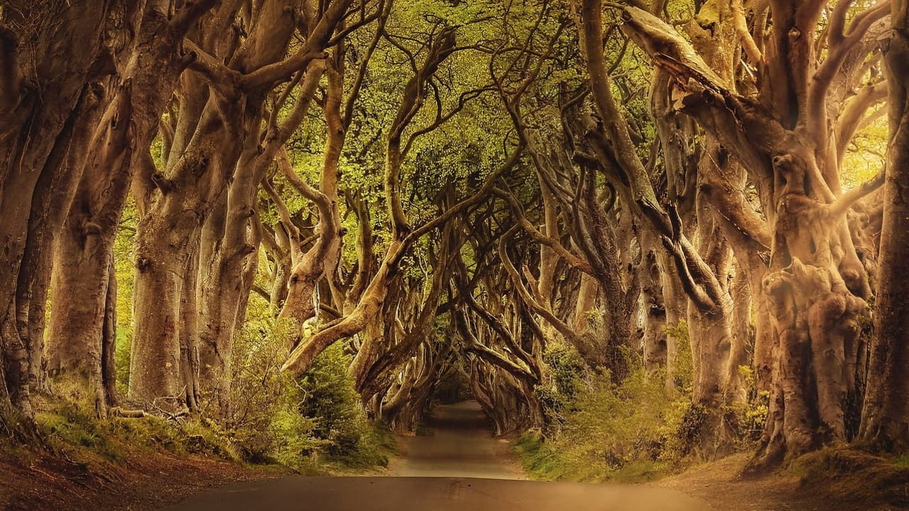 How Long It Would Take To 3d Print Game Of Thrones Characters And
