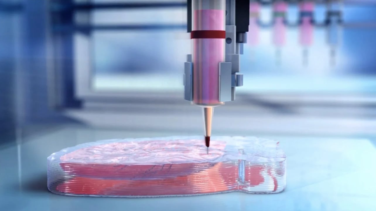 3D Printing Artificial Heart  . It�s A Small Heart, About The Size Of A Rabbit�s.