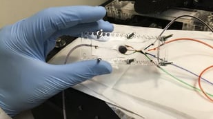 Featured image of UCLA Bioengineer Develops SLA 3D Printer That Produces Complex Artificial Tissues