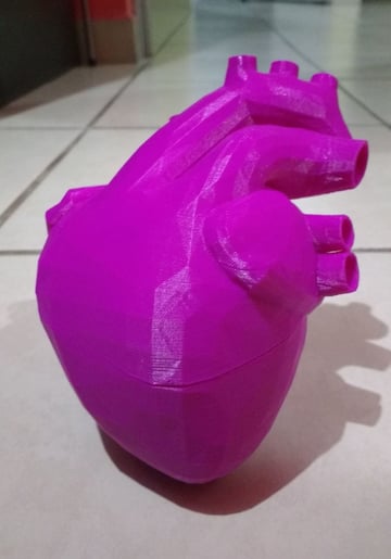 Efekt końcowy: serce wydrukowane w technologii poly 3D.