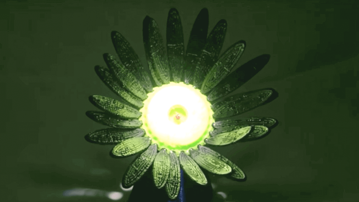 Featured image of NTU Researchers Develop 3D Printed Sunflowers that Bloom in Sunlight
