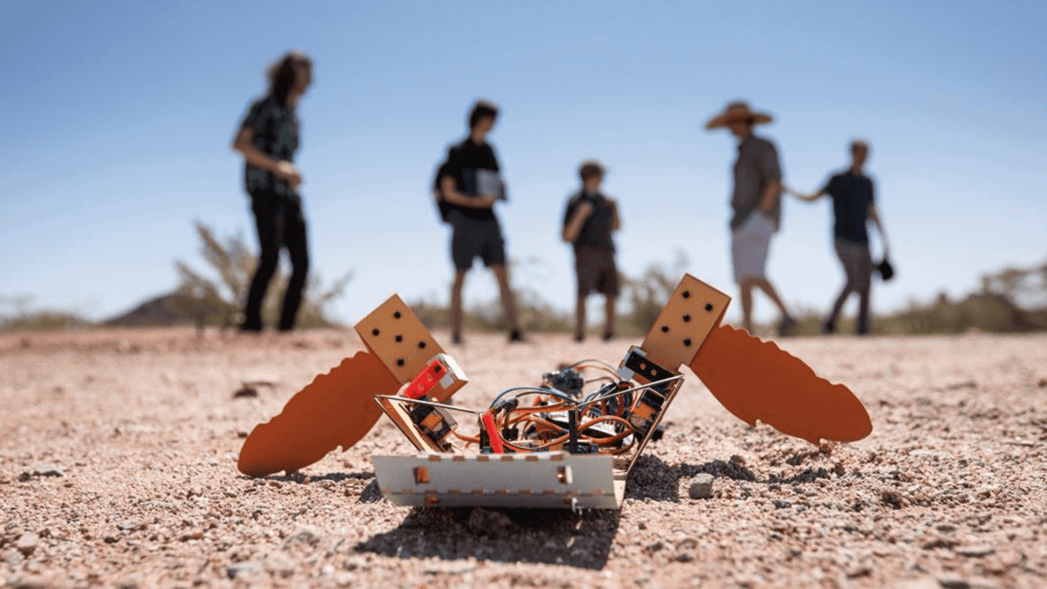 Featured image of C-Turtle: The Paper Turtle Robot That Can Detect Landmines