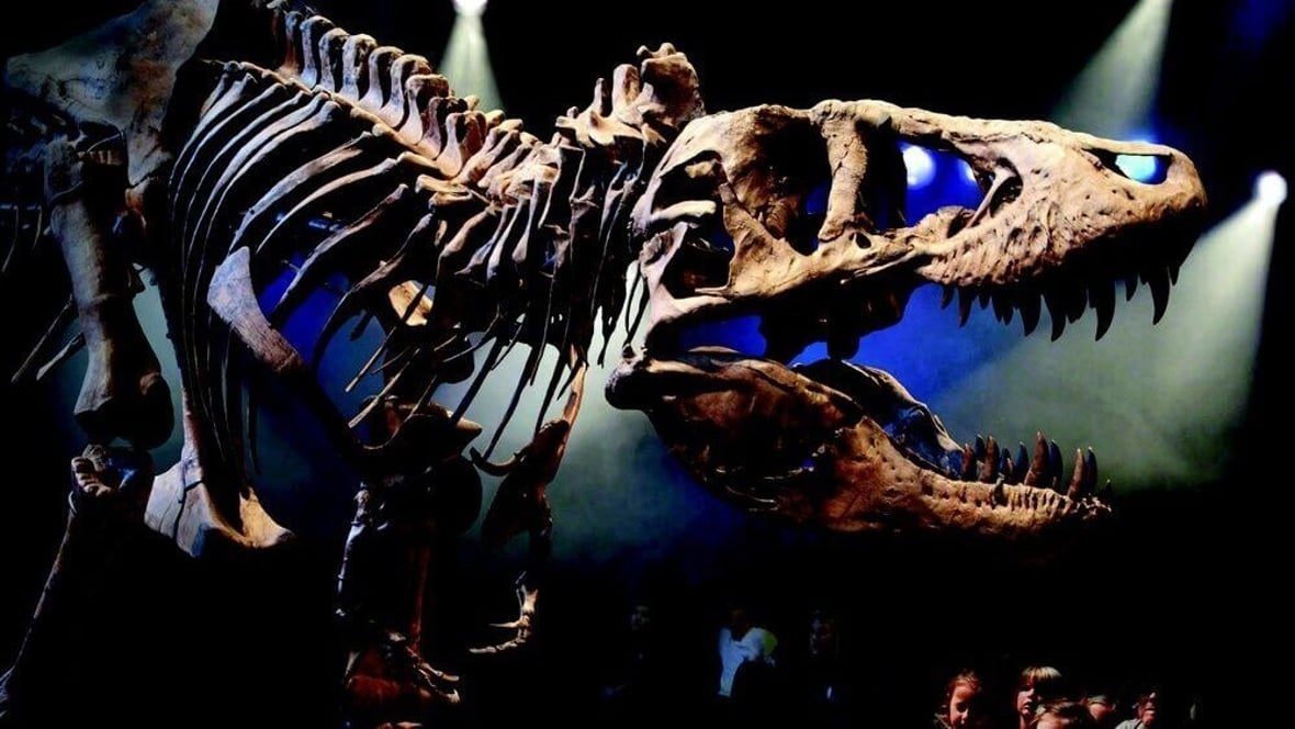 Featured image of Missing Bones in Tyrannosaurus Rex Skeleton Provided by 3D Printing
