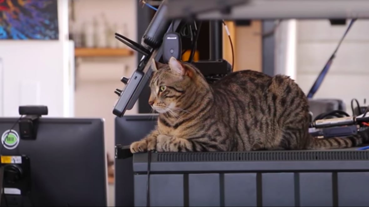 Featured image of 3D Printed Flying Camera Enables Fans to Play with Tuco the Cat