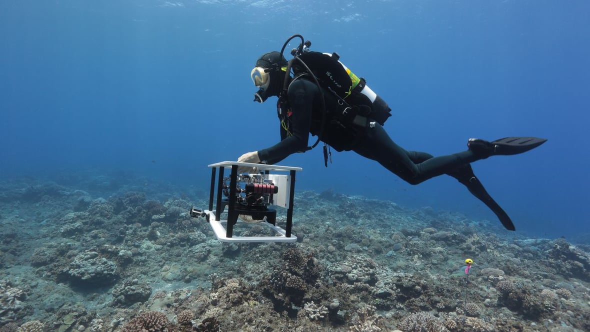 Featured image of Protecting Coral Reefs through 3D Visualizations