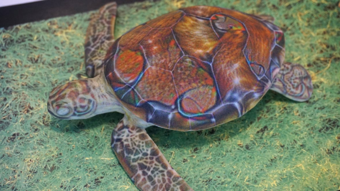 Featured image of Neural Network Tricked into Thinking 3D Printed Turtle is a Rifle