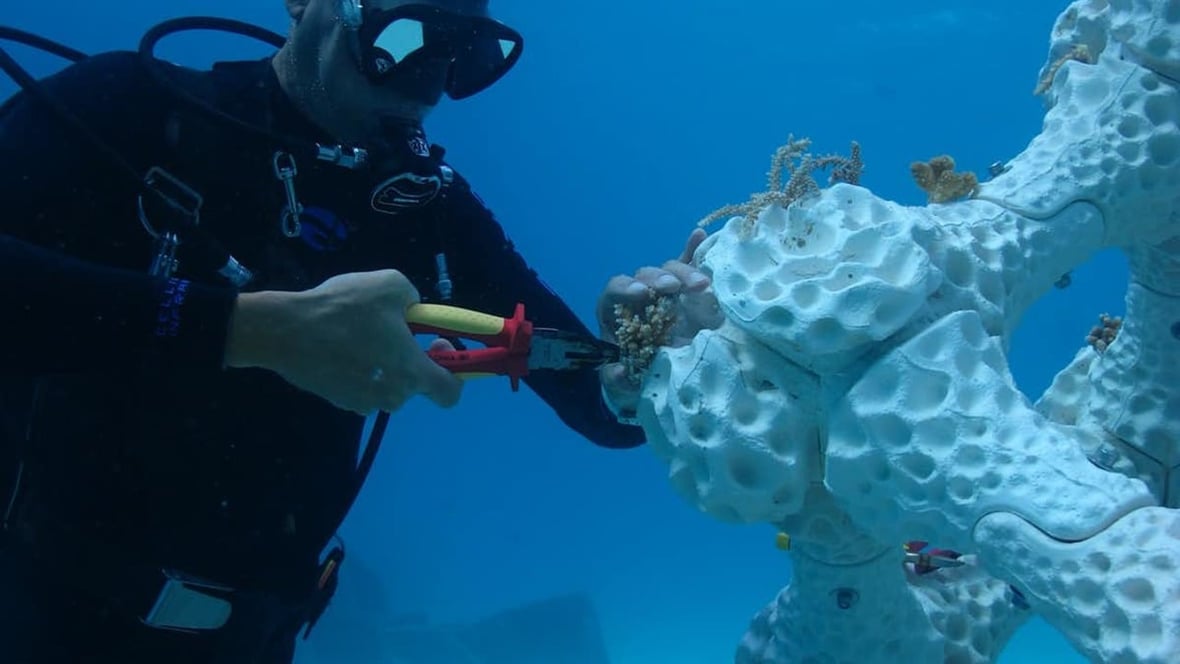 Featured image of 3D Printed Coral Reefs – 4 Most Promising Projects