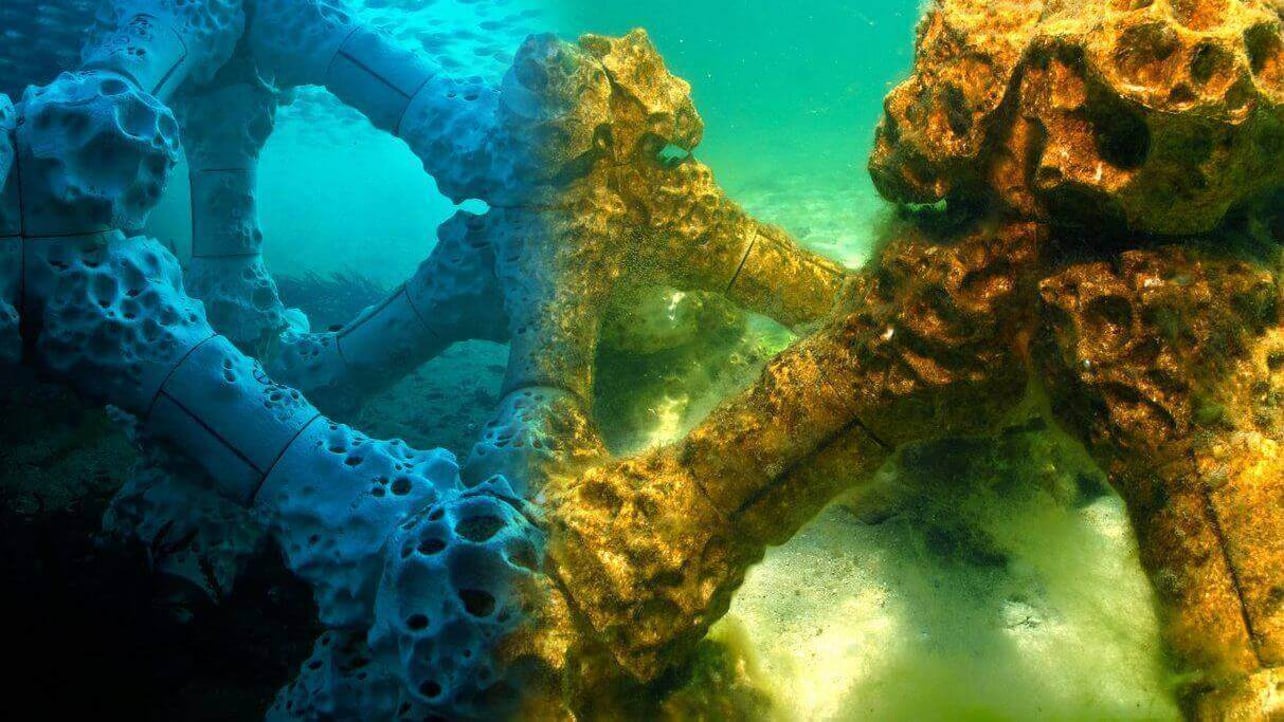 3D Printed Coral Reef Could Save the Oceans | All3DP