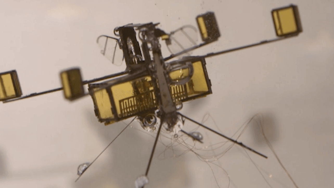 Featured image of Insect-inspired Hybrid Drone Flies, Swims and Explodes Out of the Water
