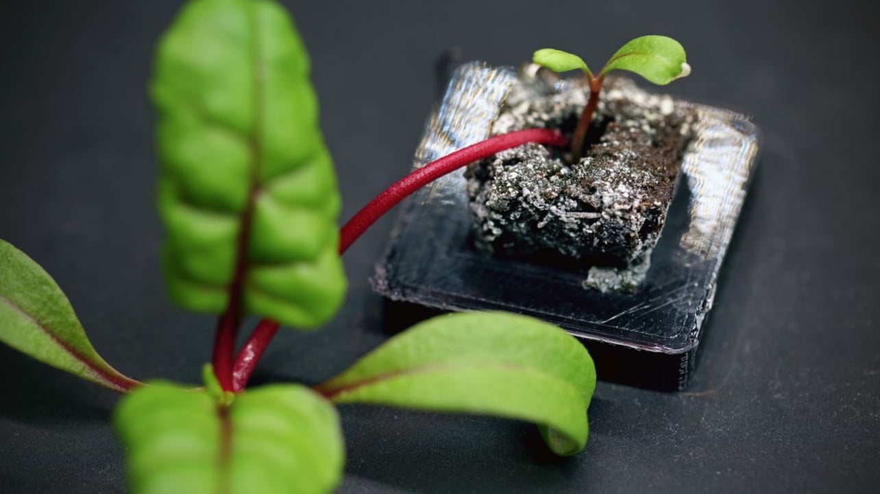Featured image of Farmshelf Uses 3D Printed Parts For Smart Indoor Urban Farming