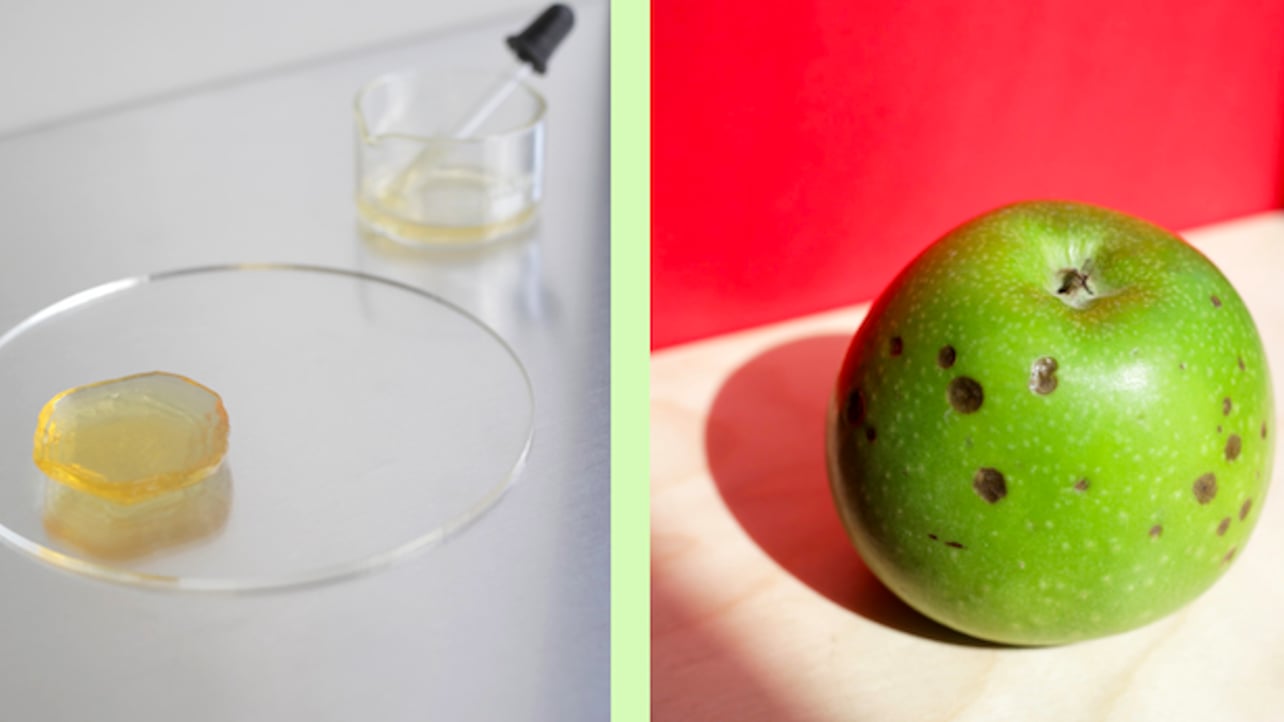 Featured image of Cape Town Designers Reduce Waste by 3D Printing “Ugly” Fruit and Veg