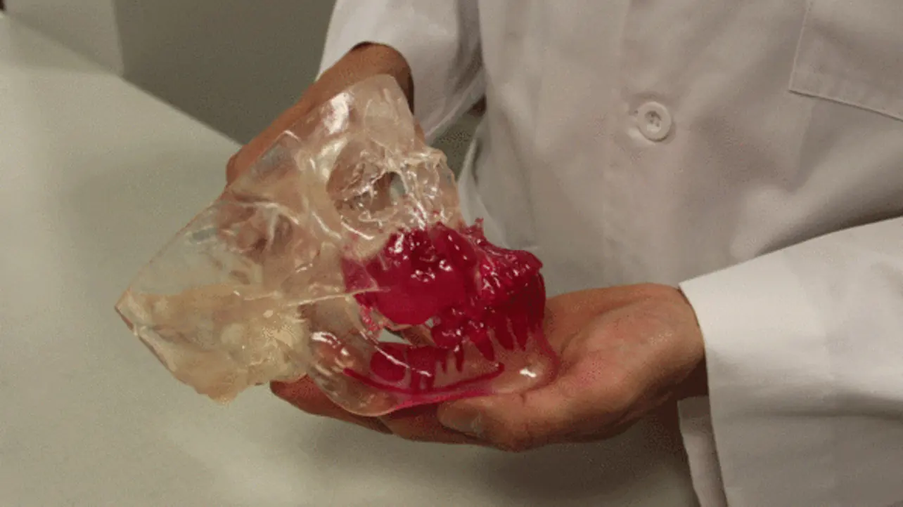 Featured image of 3D Systems Launches On Demand Anatomical Modeling Service