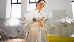 Featured image of Dutch Designers Transform Algae Into 3D Printable Biopolymer Material