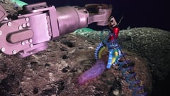 Featured image of Researchers 3D Print Soft Robotic Manipulators to Investigate Fragile Deep-Sea Life