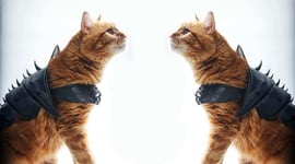 Featured image of Dressed To Kill: 3D Printed Cat Armor