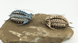 Featured image of 3D Printed Trilobites in Metal Look Absolutely Incredible
