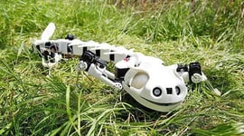 Featured image of Pleurobot is 3D Printed Robot that Walks & Swims like a Salamander