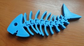 Featured image of Fishy Filaments: Eco-Friendly 3D Printing Project for Local Communities
