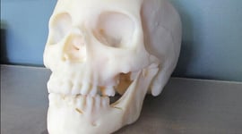 Featured image of 3D Printing Used to Reproduce a Murder Victim’s Skull in a Cold Case