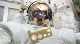 Featured image of New Plastic Allows Astronauts to 3D Print Spacewalk Tools
