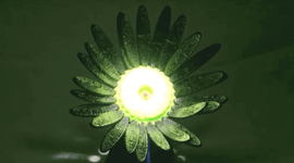 Featured image of NTU Researchers Develop 3D Printed Sunflowers that Bloom in Sunlight