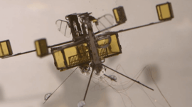 Featured image of Insect-inspired Hybrid Drone Flies, Swims and Explodes Out of the Water