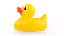 Featured image of Help Break a Record and 3D Print a Part of a 6-Foot Duck