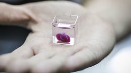 Featured image of Israeli Researchers 3D Print Tiny Heart with Blood Vessels and Chambers