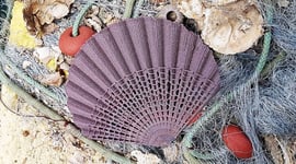 Featured image of The New Raw Recycles Abandoned Fishing Nets into 3D Printed Seashells