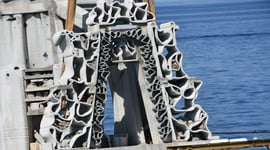 Featured image of France Set to Open Europe’s Largest 3D Printed Artificial Marine Reef