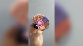 Featured image of 3D Print This Augmented Reality Cube, Hold Brains (And Other Things) In Your Hands