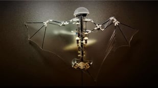 Featured image of Bat Bot is a 3D Printed Robot Drone that Flies like a Bat