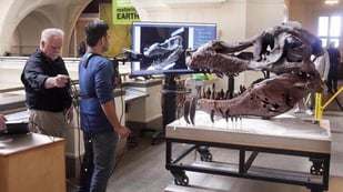 Featured image of MIT Researchers Use Microsoft Kinect to 3D Scan Gigantic T-Rex Skull