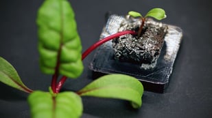 Featured image of Farmshelf Uses 3D Printed Parts For Smart Indoor Urban Farming