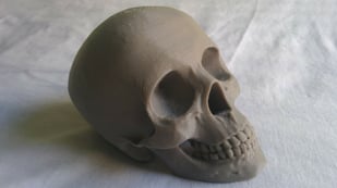 Featured image of The 20 Best 3D Printed Skulls & Skull-Themed Models