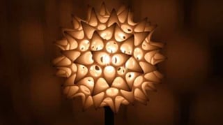 Featured image of Radiolarian Lamp Design Inspired by Plankton