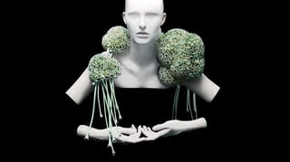 Featured image of 3D printed fashions take the runway by storm