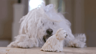Featured image of Mark Zuckerberg’s Dog Receives 3D Printed Mini-Me Birthday Present