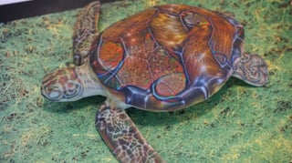 Featured image of Neural Network Tricked into Thinking 3D Printed Turtle is a Rifle