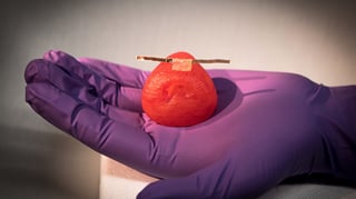 Featured image of Minnesota Researchers Create 3D Printed Organs for Realistic Surgical Training