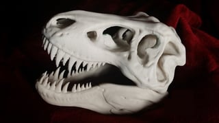 Featured image of The Best Bio Filaments for 3D Printing