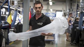 Featured image of Materialise to 3D Print a Full Mammoth Skeleton