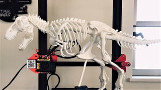 Featured image of 3D Printed T-Rex: 9 Great Curated Models
