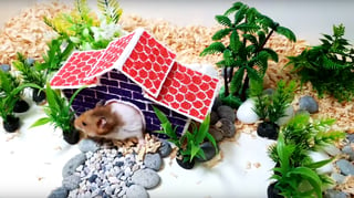 Featured image of How to Draw a House for Your Hamster with a 3D Pen