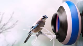 Featured image of 3D Printed Birdhouse: 10 Great Models to Tweat the Birds