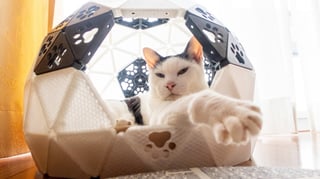 Featured image of The Best 3D Printed Cat Toys & Accessories of 2023