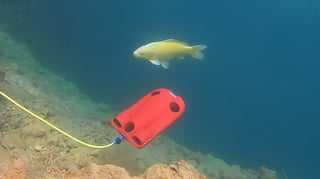 Featured image of Watch the Fishes: 3D Print This Powerful FPV Underwater Drone