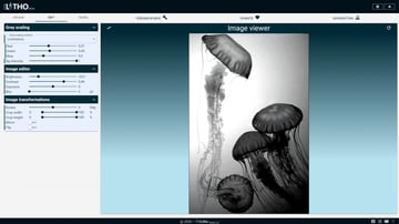 ItsLitho offers a range of image editing tools