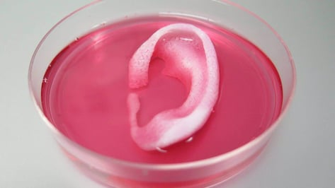Featured image of Bioprinting Research is Significant But Keep it in Proportion!