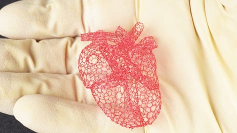 Featured image of Engineers Develop 3D Printing Method That Produces Tissue Scaffolding From Sugar